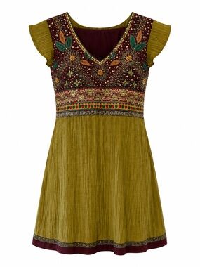 Embroidered V-Neck Tunic Dress in Olive and Maroon